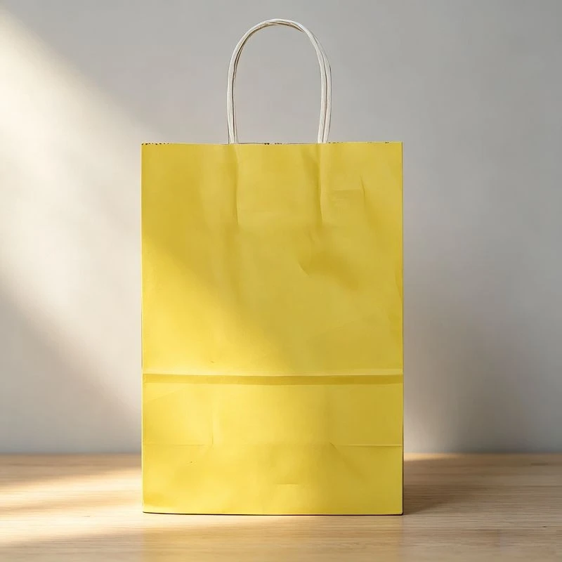 Classic Solid Color Paper Gift Bags best