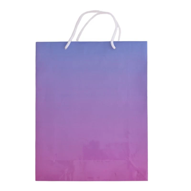 Elegant Ribbon & Gradient Paper Gift Bags factory