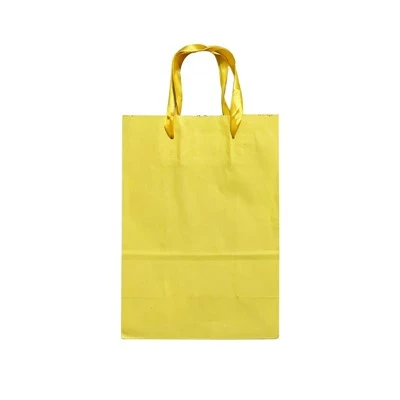 Classic Solid Color Paper Gift Bags