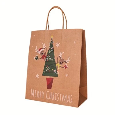 Natural Christmas Character & Party Paper Gift Bags Set