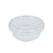 Transparent Plastic Bowl
